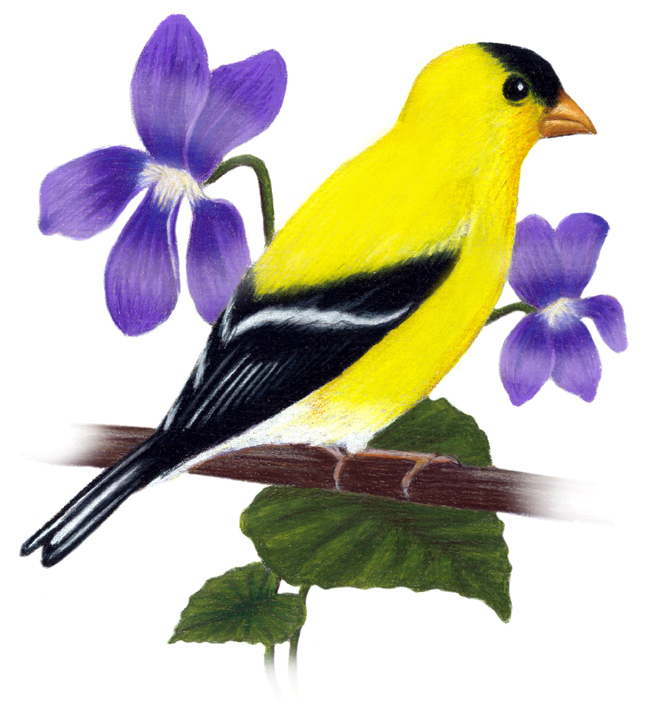 Endangered New Jersey February 2015